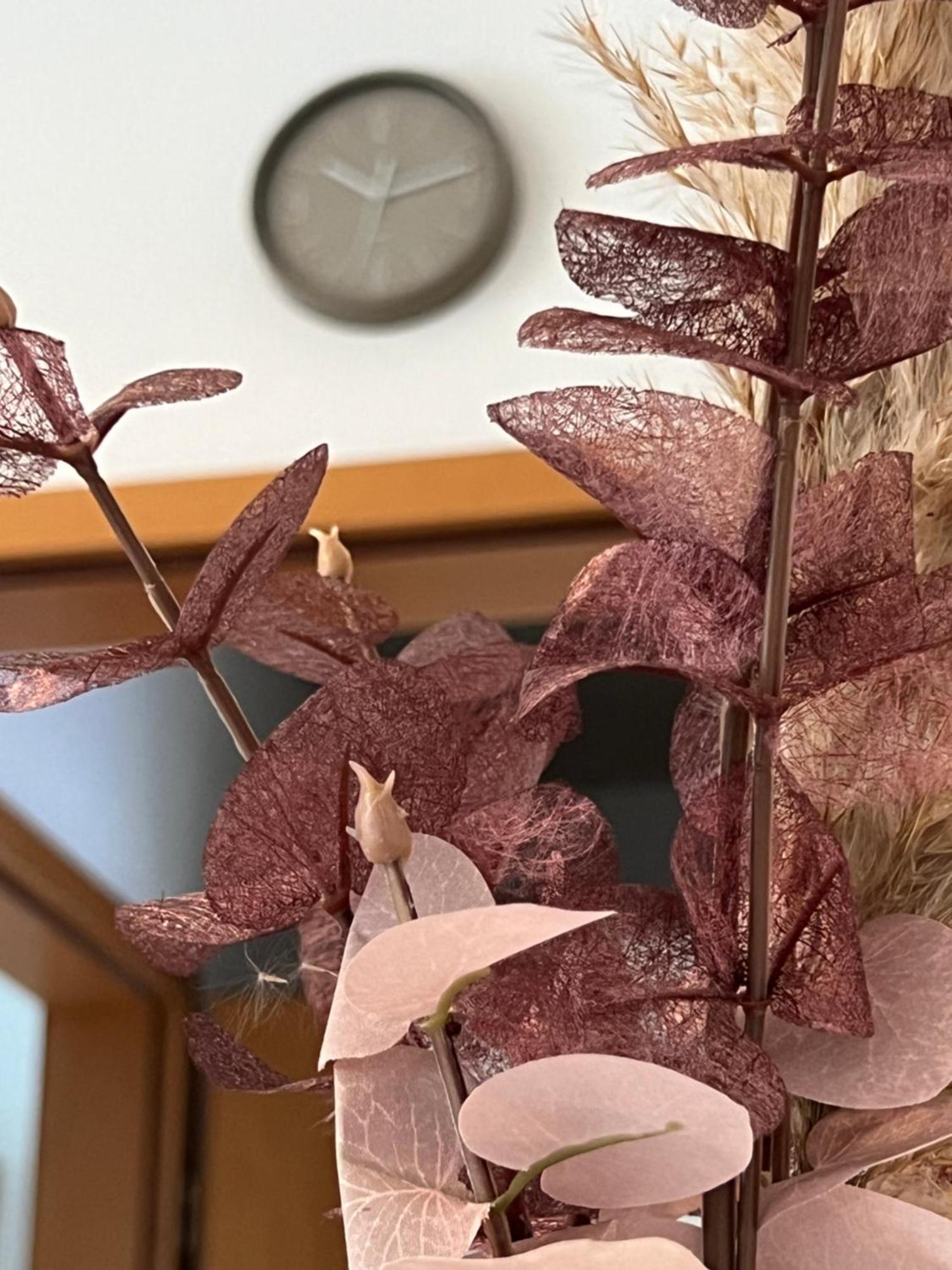 Auszeit Im Pott - Ferienwohnung Lavendel ヘルテン エクステリア 写真